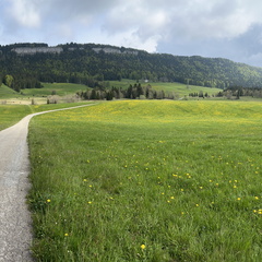 23-05-21 16-52-18 5534